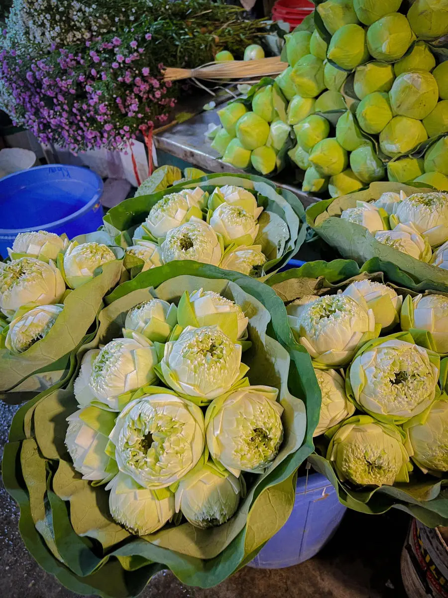 Kh&aacute;m ph&aacute; Chợ hoa Quảng B&aacute; về đ&ecirc;m c&oacute; g&igrave; đặc sắc 4
