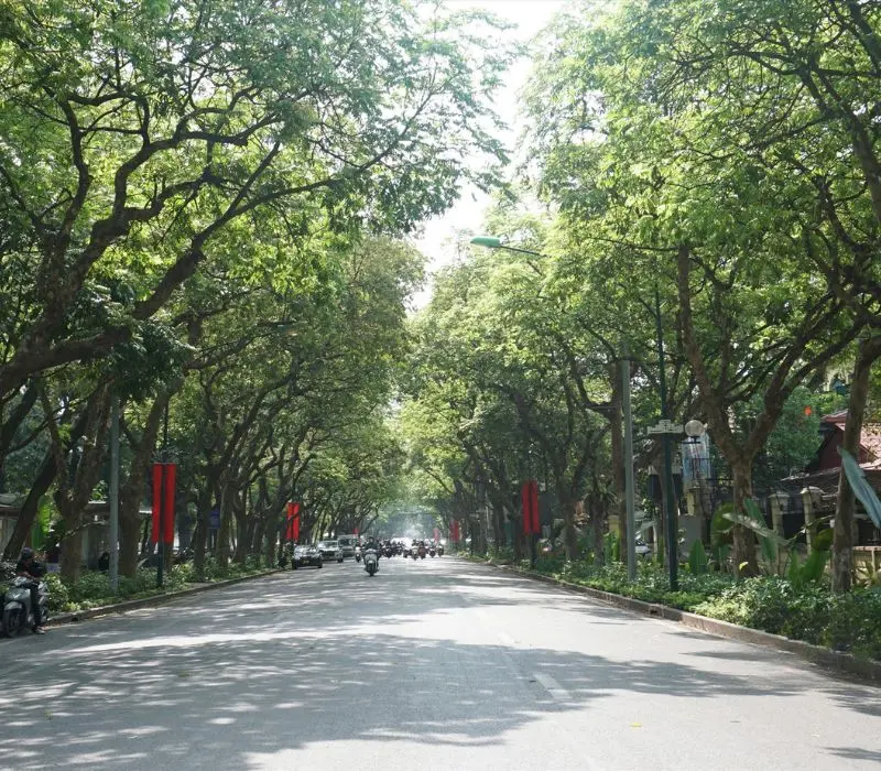 Kh&aacute;m ph&aacute; đường Ho&agrave;ng Diệu H&agrave; Nội, cung đường lịch sử v&agrave; thơ mộng 3