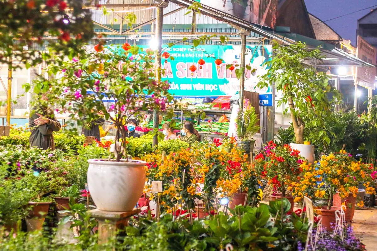 Kh&aacute;m ph&aacute; H&agrave; Nội quả vẻ đẹp đầy ấn tượng tại Học viện N&ocirc;ng nghiệp Việt Nam 15