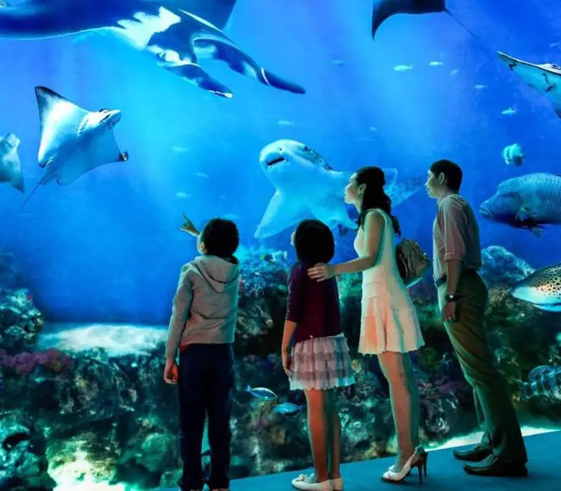 Kinh nghiệm tham quan Times City, khu đô thị sầm uất của Hà Nội 5