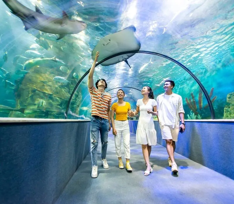 Kinh nghiệm tham quan Times City, khu đô thị sầm uất của Hà Nội 4