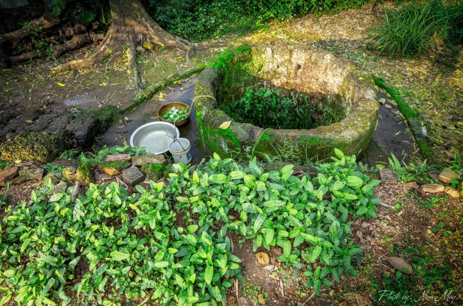 L&agrave;ng cổ Đường L&acirc;m ngủ y&ecirc;n giữa l&ograve;ng Thủ đ&ocirc; H&agrave; Nội 7