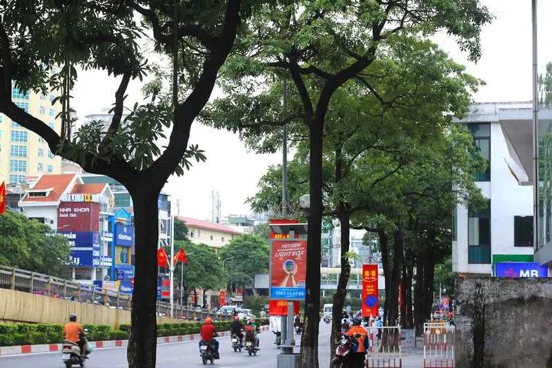 M&ugrave;a hoa sữa H&agrave; Nội mang k&yacute; ức đậm đ&agrave; của m&ugrave;a thu 9