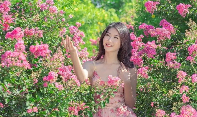 M&ugrave;a hoa tường vi H&agrave; Nội, kh&ocirc;ng gian nhẹ nh&agrave;ng s&aacute;ng bừng thủ đ&ocirc; 3