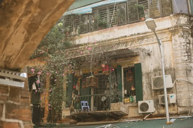 M&ugrave;a thu H&agrave; Nội, vẻ đẹp dịu d&agrave;ng như giấc mơ cổ t&iacute;ch 2