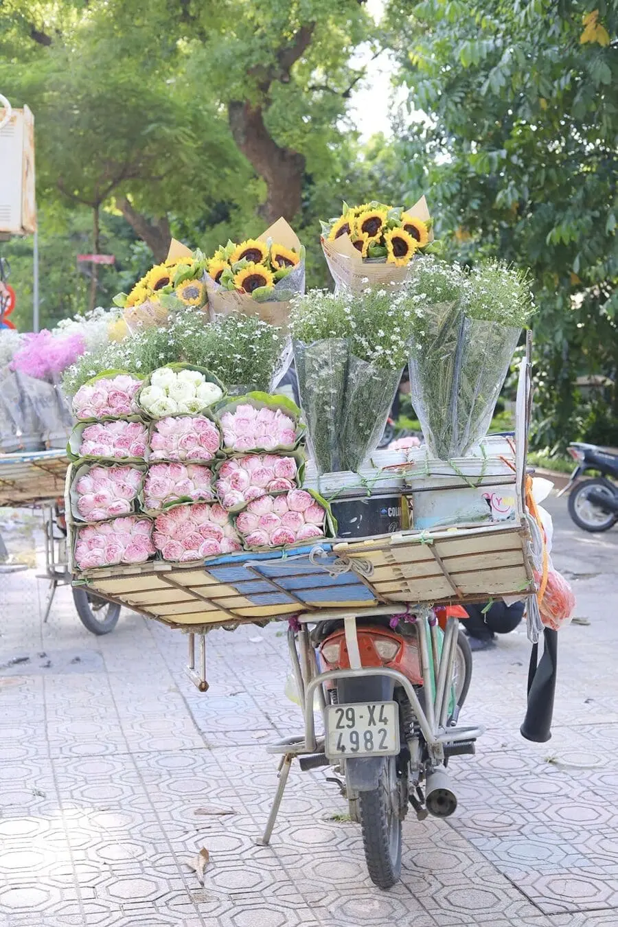 M&ugrave;a thu H&agrave; Nội, vẻ đẹp l&atilde;ng đ&atilde;ng tựa như lời h&aacute;t ru 5