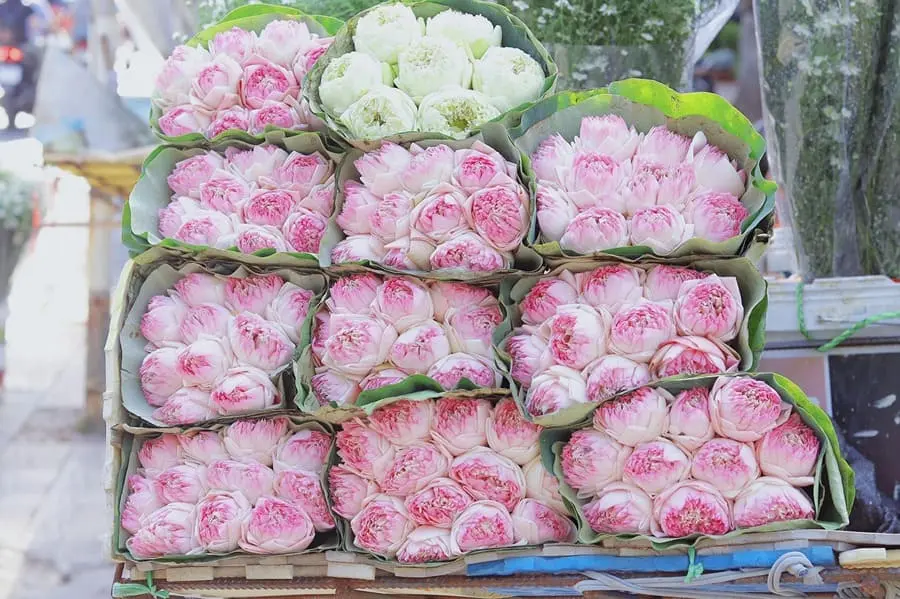 M&ugrave;a thu H&agrave; Nội, vẻ đẹp l&atilde;ng đ&atilde;ng tựa như lời h&aacute;t ru 4