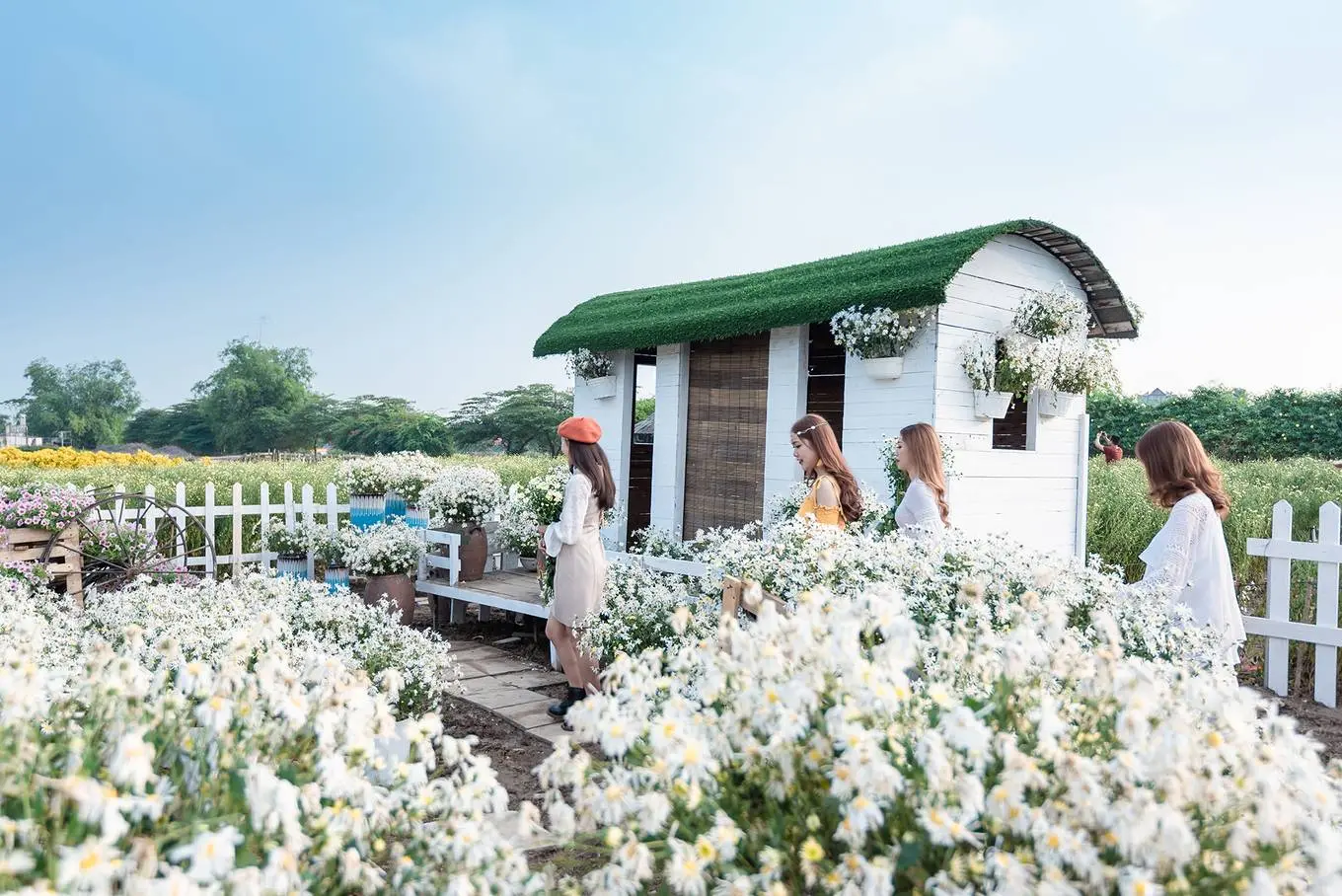 Muốn kh&aacute;m ph&aacute; H&agrave; Nội th&igrave; nhất định phải gh&eacute; đến thảo nguy&ecirc;n hoa Long Bi&ecirc;n 3