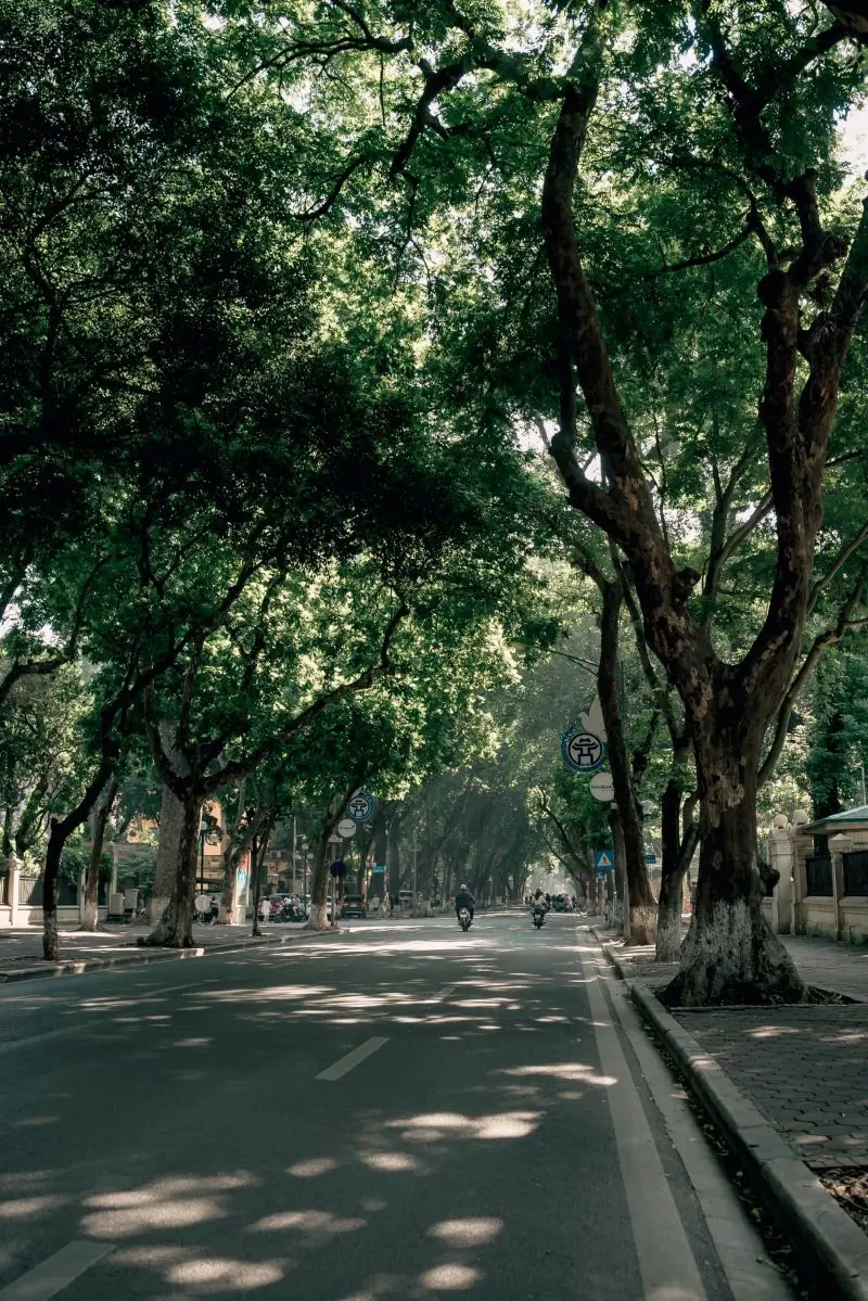 Phố Phan Đ&igrave;nh Ph&ugrave;ng, điểm vui chơi l&atilde;ng mạn nhất H&agrave; Th&agrave;nh 6