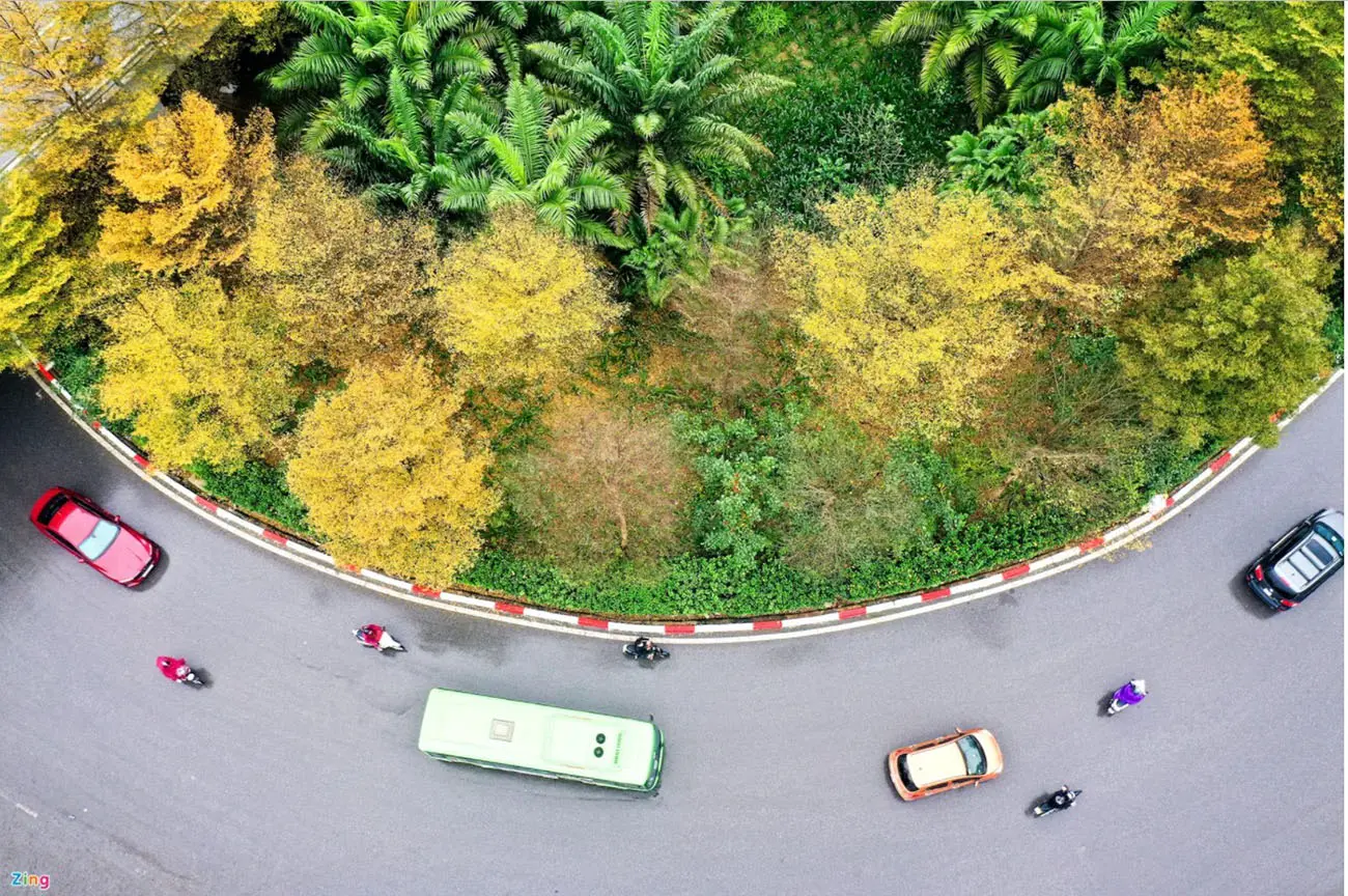 Review Hà Nội, chút ngẩn ngơ khi mùa thay lá đến 3