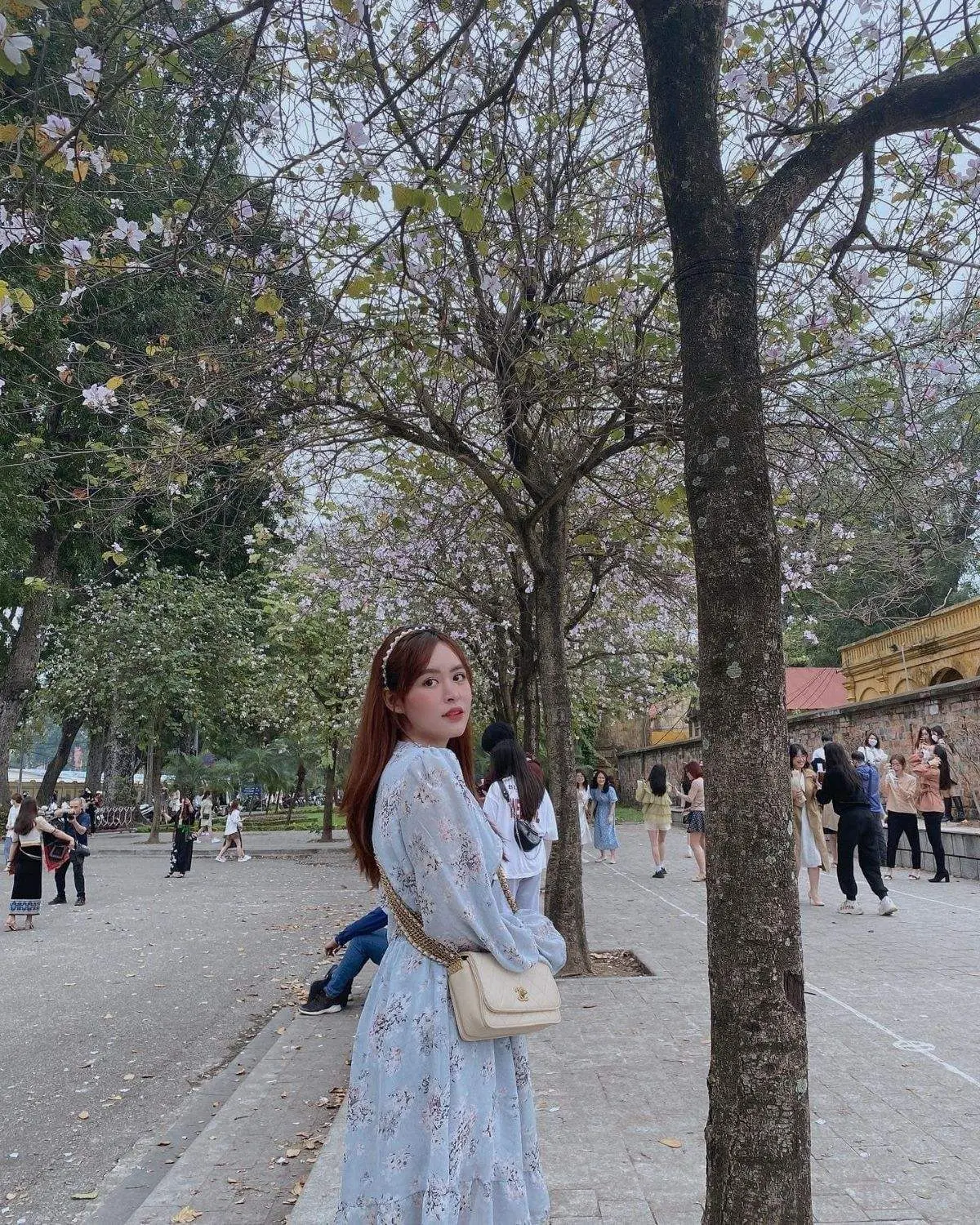Review H&agrave; Nội, th&aacute;ng ba nơi đ&oacute; c&oacute; m&ugrave;a hoa ban nở 9