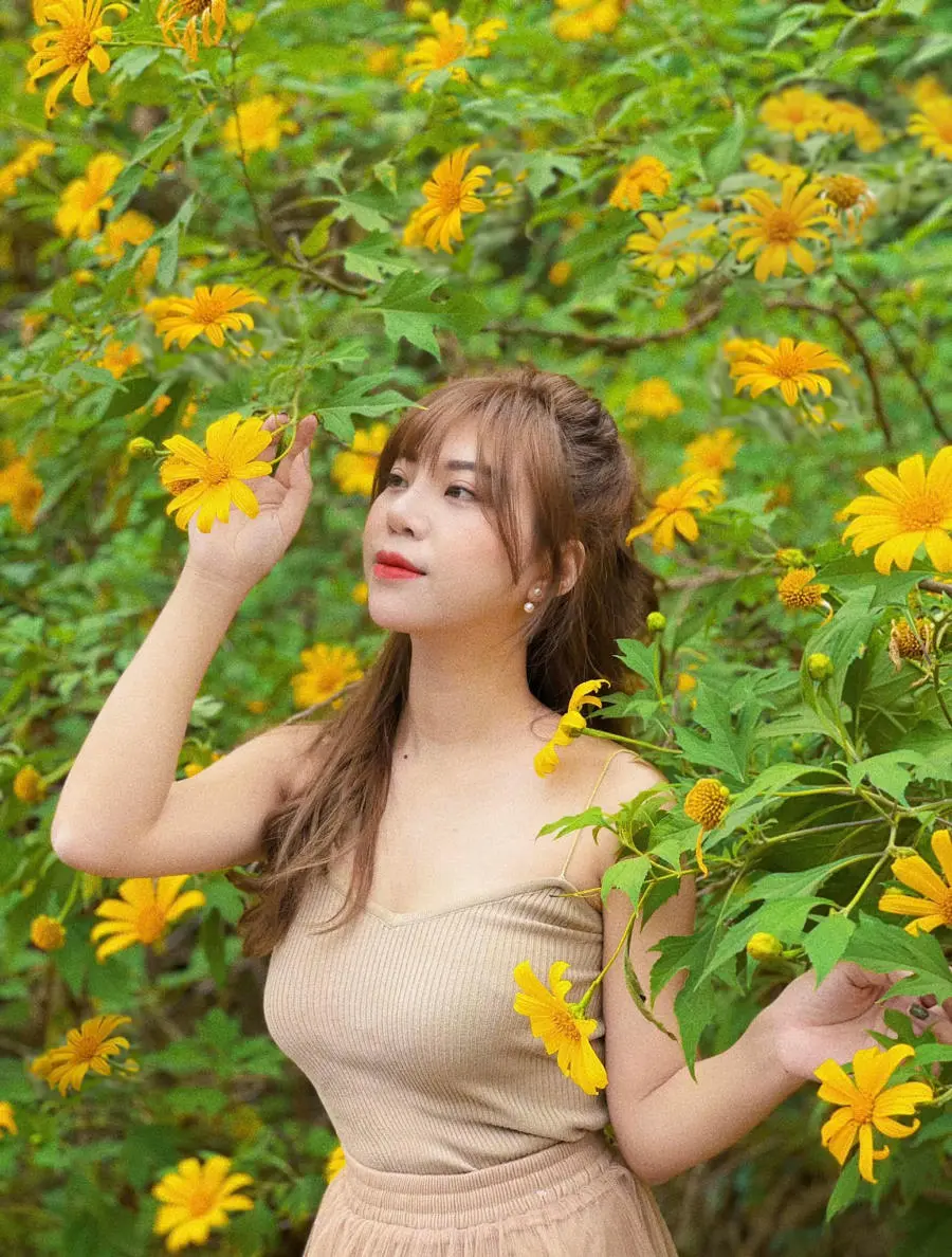 Săn M&ugrave;a hoa d&atilde; quỳ H&agrave; Nội đẹp m&ecirc; hồn qua từng khung ảnh xinh xắn 2