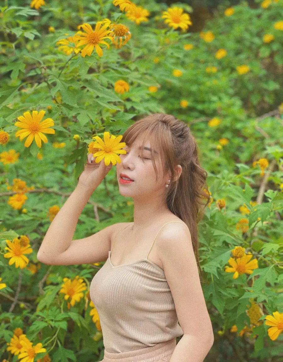 Săn M&ugrave;a hoa d&atilde; quỳ H&agrave; Nội đẹp m&ecirc; hồn qua từng khung ảnh xinh xắn 5
