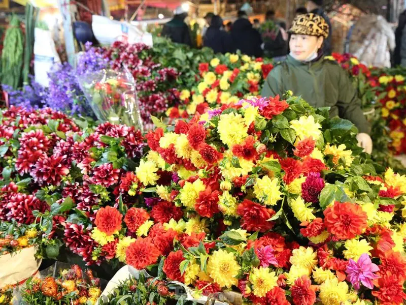 Top 10 chợ hoa Tết H&agrave; Nội cho dịp Xu&acirc;n 2026 th&ecirc;m đầy m&agrave;u sắc 3