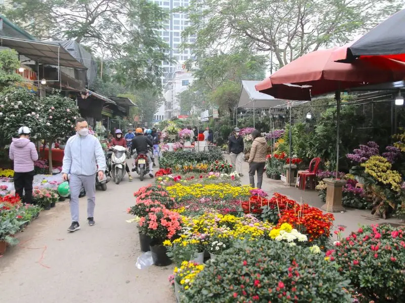 Top 10 chợ hoa Tết H&agrave; Nội cho dịp Xu&acirc;n 2026 th&ecirc;m đầy m&agrave;u sắc 11