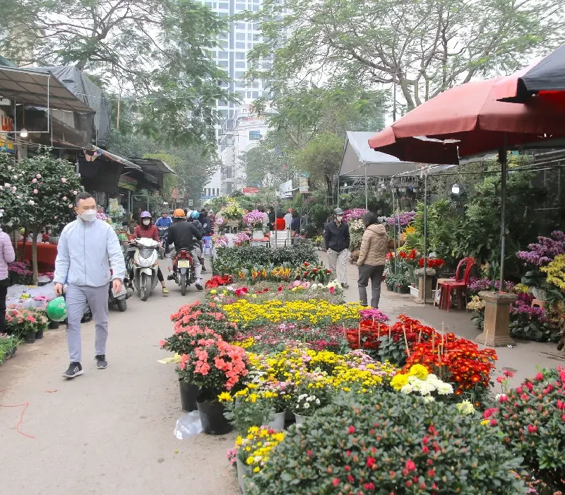 Khám phá Chợ Hoa Cây Cảnh Vạn Phúc Hà Đông mùa giáp Tết
