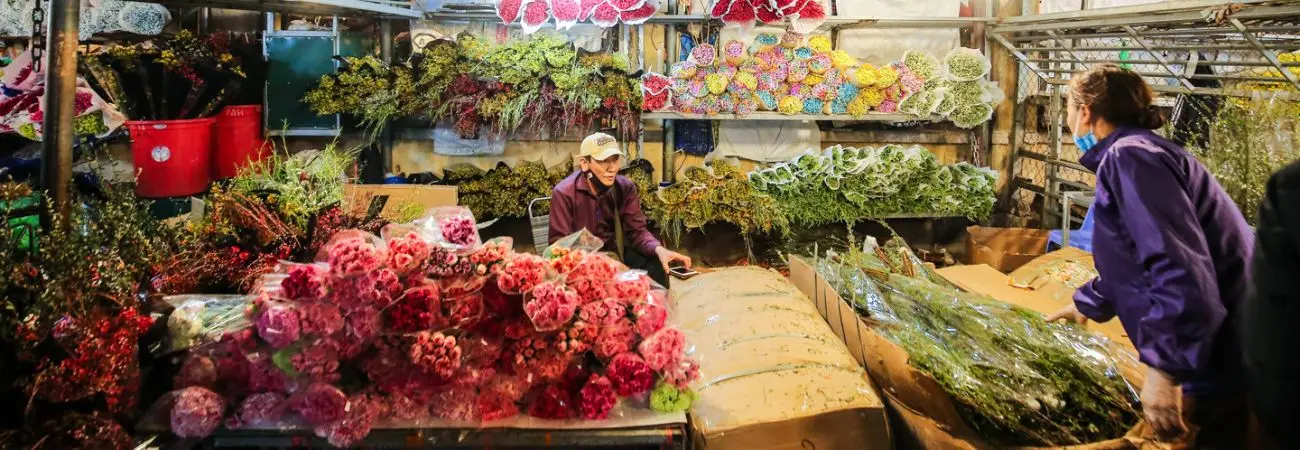 Khám phá Chợ hoa Quảng Bá về đêm có gì đặc sắc
