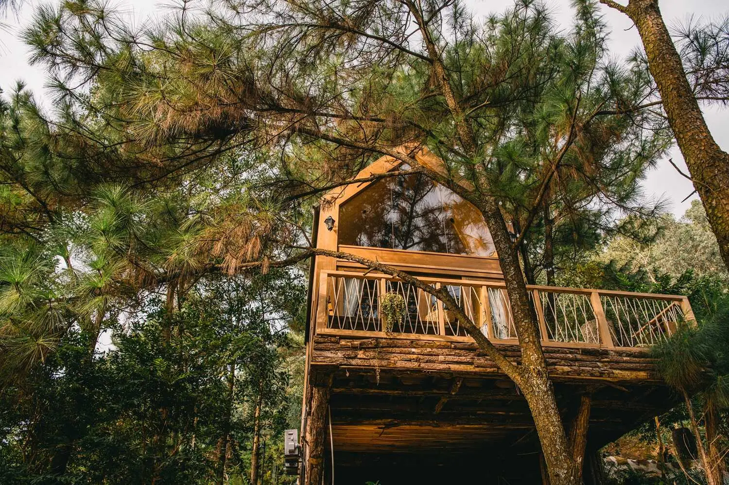 Nghỉ dưỡng tại Nhà Bên Rừng U Lesa Retreat để tạm xa Hà Nội ồn ào