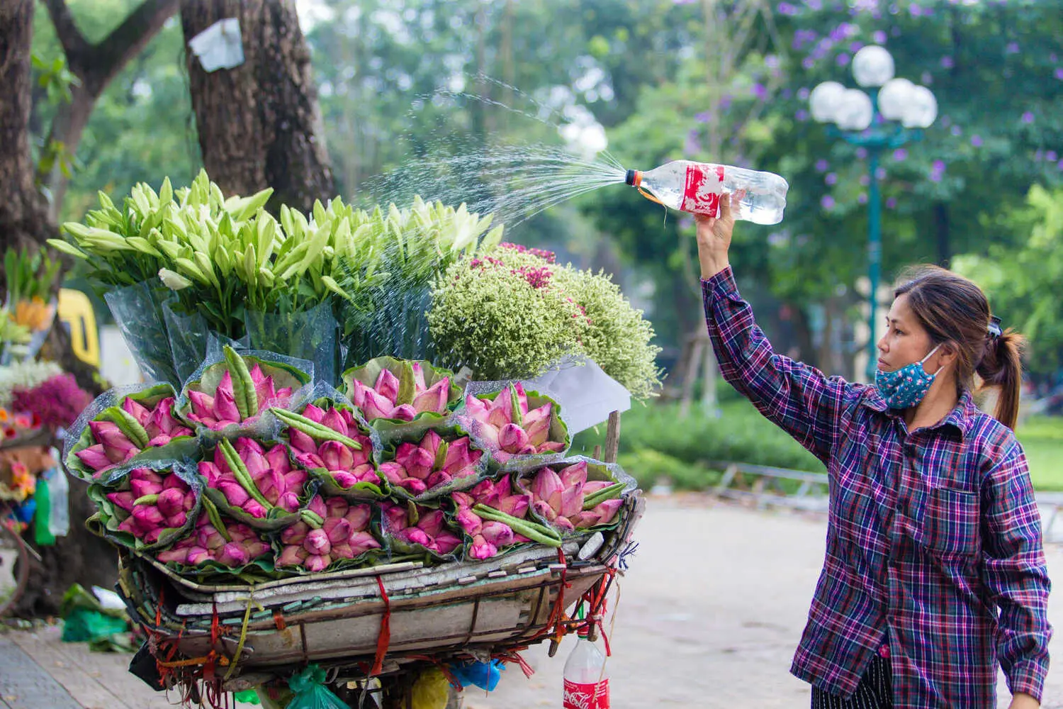 Những chiếc xe hoa gánh cả trời thương nhớ Hà Nội