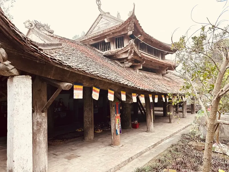 Ghé Làng Ước Lễ xem nghề làm chả lừng lẫy thủ đô 5