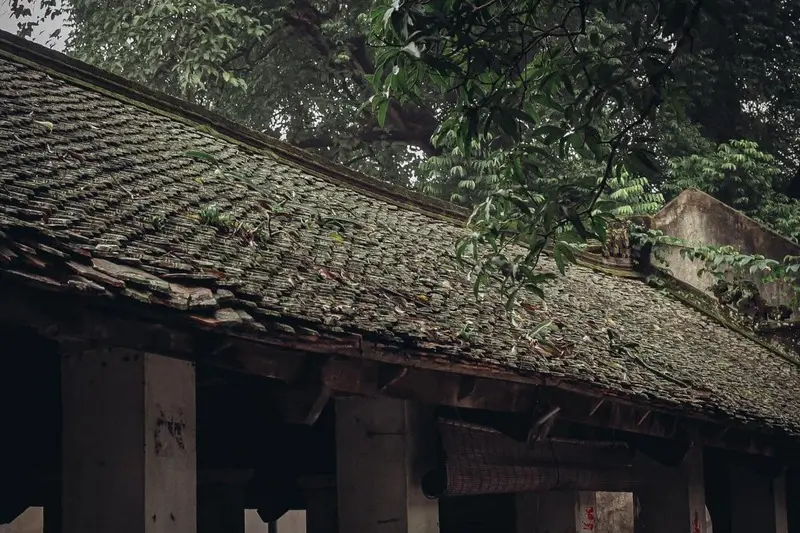 Ghé Làng Ước Lễ xem nghề làm chả lừng lẫy thủ đô 7