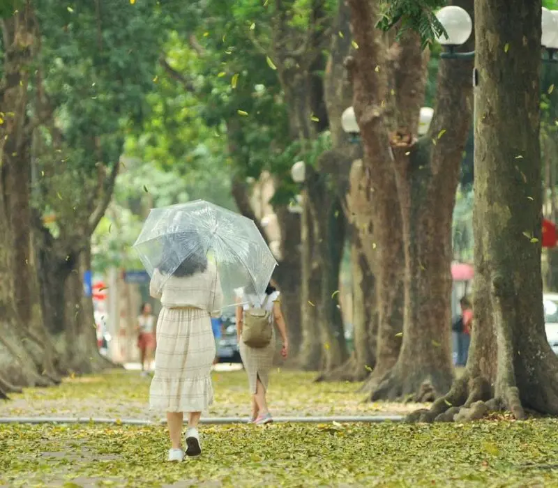 Mách bạn lịch trình 1 ngày Hà Nội mùa thu trọn vẹn nhất