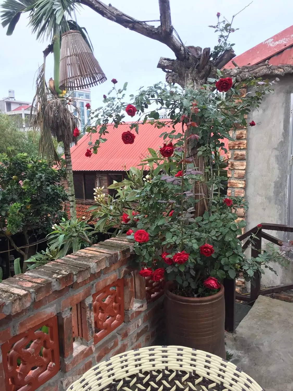 Cung Trầm Cafe Ẩm Thực với vẻ đẹp y&ecirc;n b&igrave;nh, ho&agrave;i cổ 6