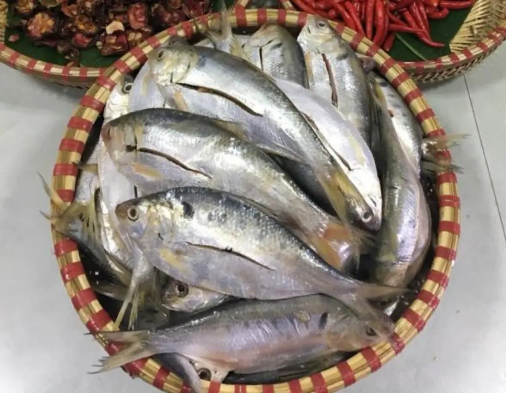 Đặc sản Cá mòi kho Kiến Thụy Hải Phòng ngon nức tiếng nhất định phải thử 4