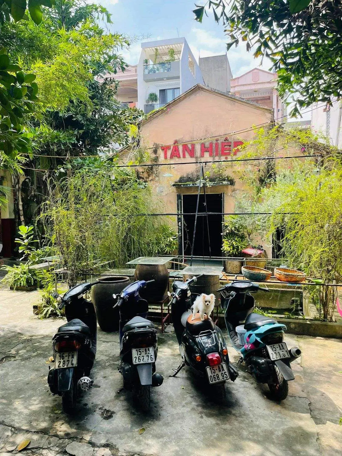 G&oacute;c nhỏ Hợp T&aacute;c X&atilde; T&acirc;n Hiệp với khung cảnh v&ocirc; c&ugrave;ng ấn tượng 3