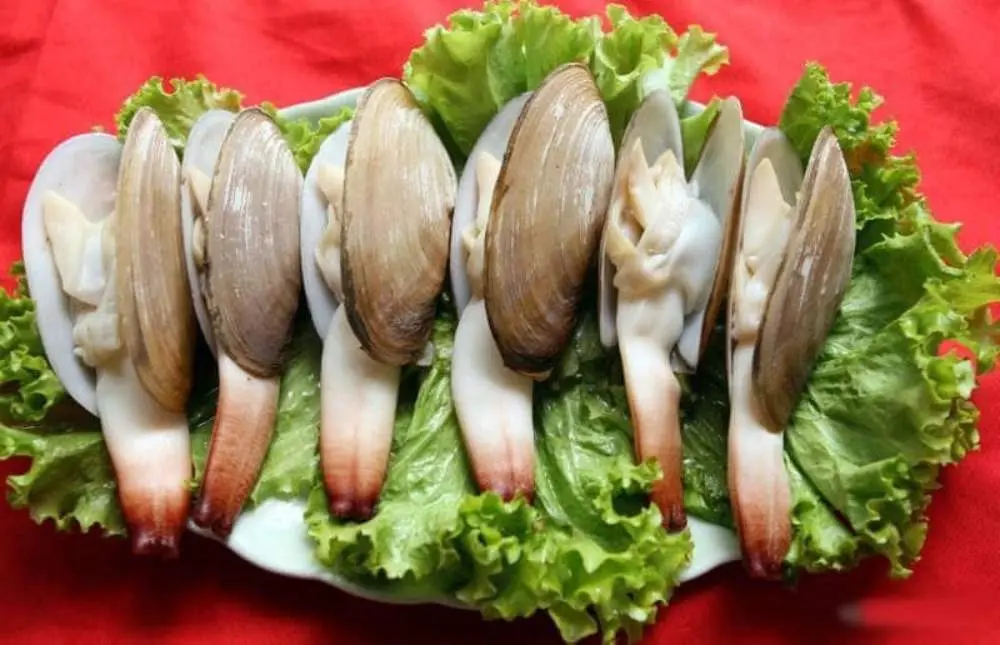 Nh&agrave; h&agrave;ng Neptune Hải Ph&ograve;ng - Địa chỉ tổ chức tiệc t&ugrave;ng l&yacute; tưởng 8
