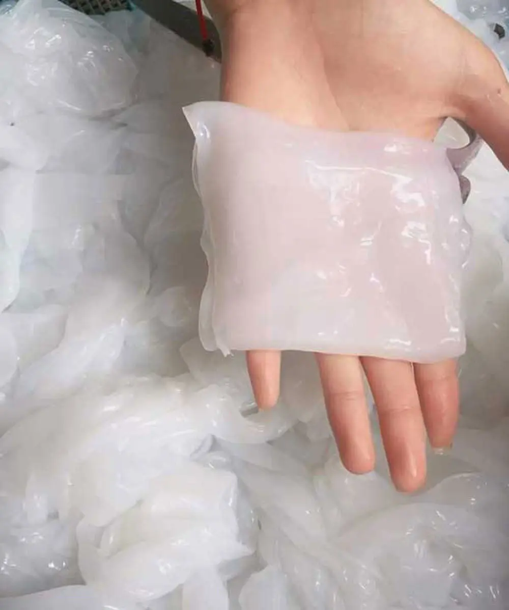 Thử một lần thưởng thức Đặc sản dừa dầm Hải Phòng với MIA.vn 4