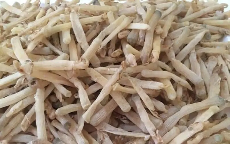 Top 25 đặc sản Hải Phòng ngon “quên lối về” nhất định phải thử 13