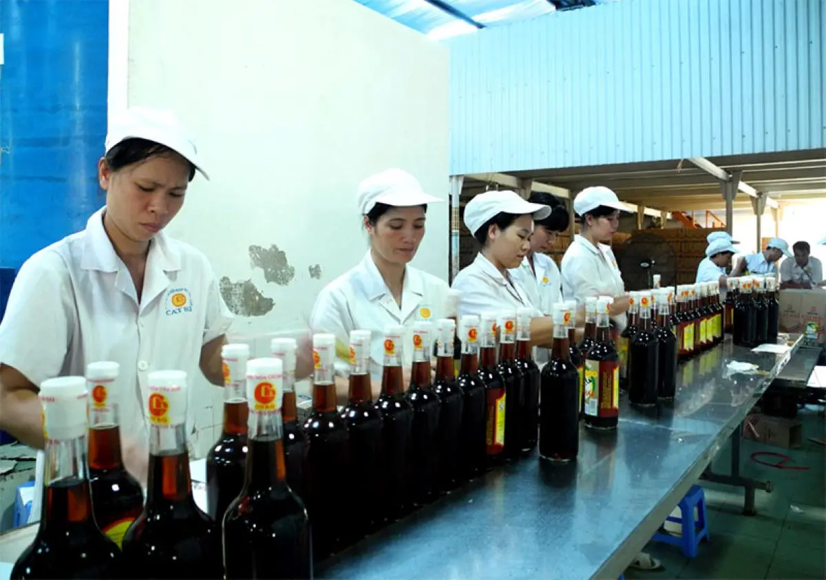 Nước mắm Cát Hải - Thức quà quý từ xứ cảng Hải Phòng