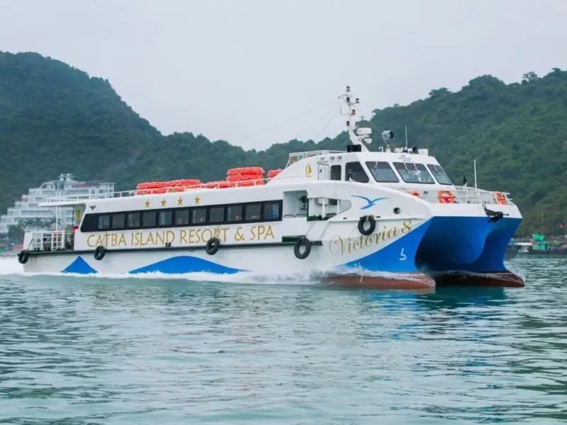 Khám phá Đảo Khỉ Cát Bà: Thiên đường hoang dã giữa lòng vịnh Lan Hạ 3