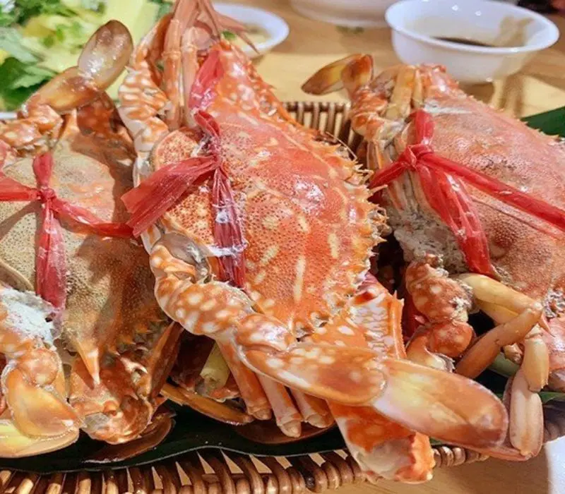Kh&aacute;m ph&aacute; l&agrave;ng ch&agrave;i C&aacute;i B&egrave;o, Di sản sống giữa vịnh Lan Hạ 7