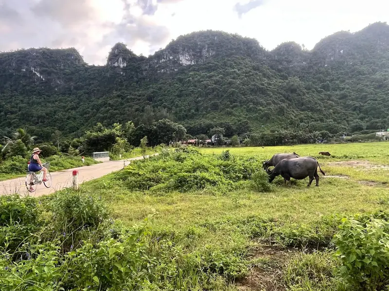 Khám phá làng Việt Hải viên ngọc thô giữa lòng Cát Bà Hải Phòng 3