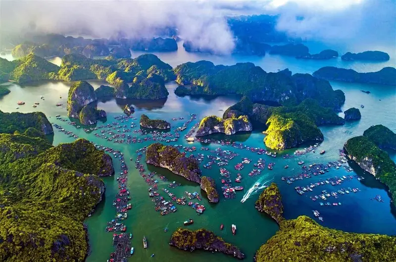 Khám phá thị trấn Cát Bà, viên ngọc của du lịch của Hải Phòng 4