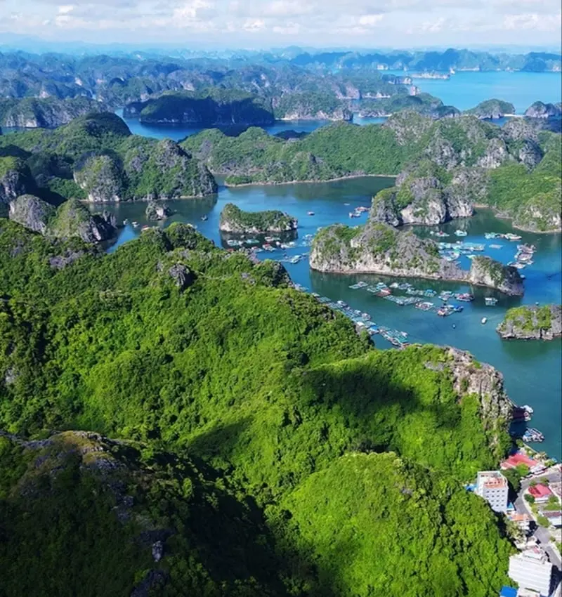 Kinh nghiệm du lịch Cát Bà: Di chuyển, trải nghiệm, ăn uống 2