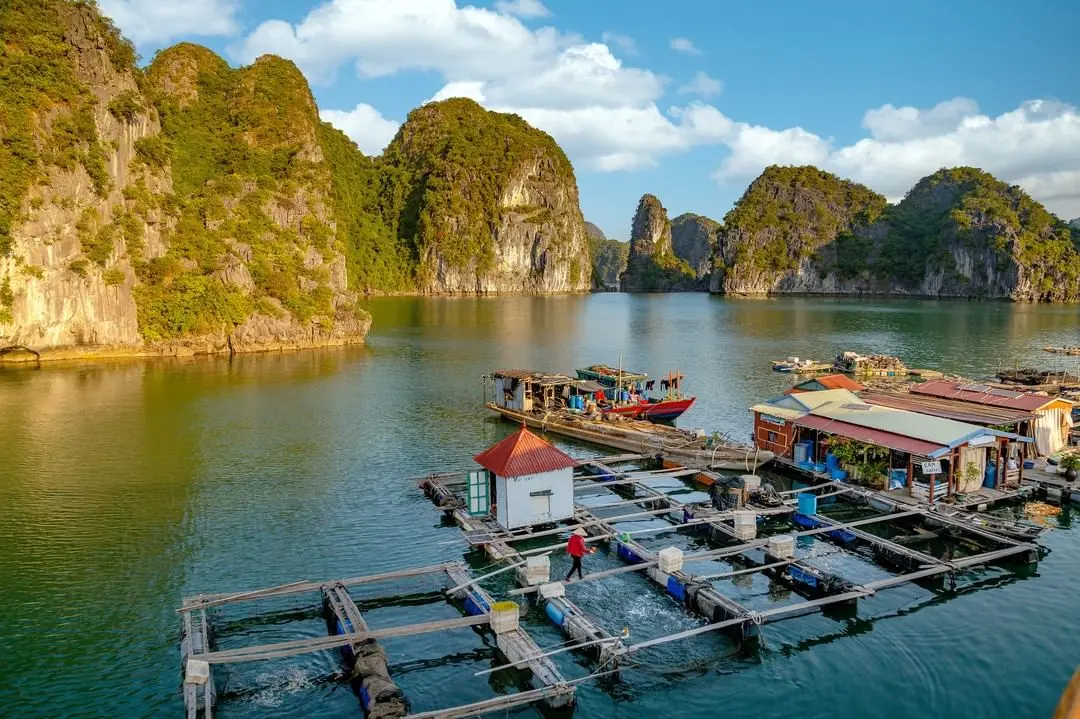 Nắm gọn đảo C&aacute;t B&agrave; trong tay với Review du lịch đảo C&aacute;t B&agrave; 2