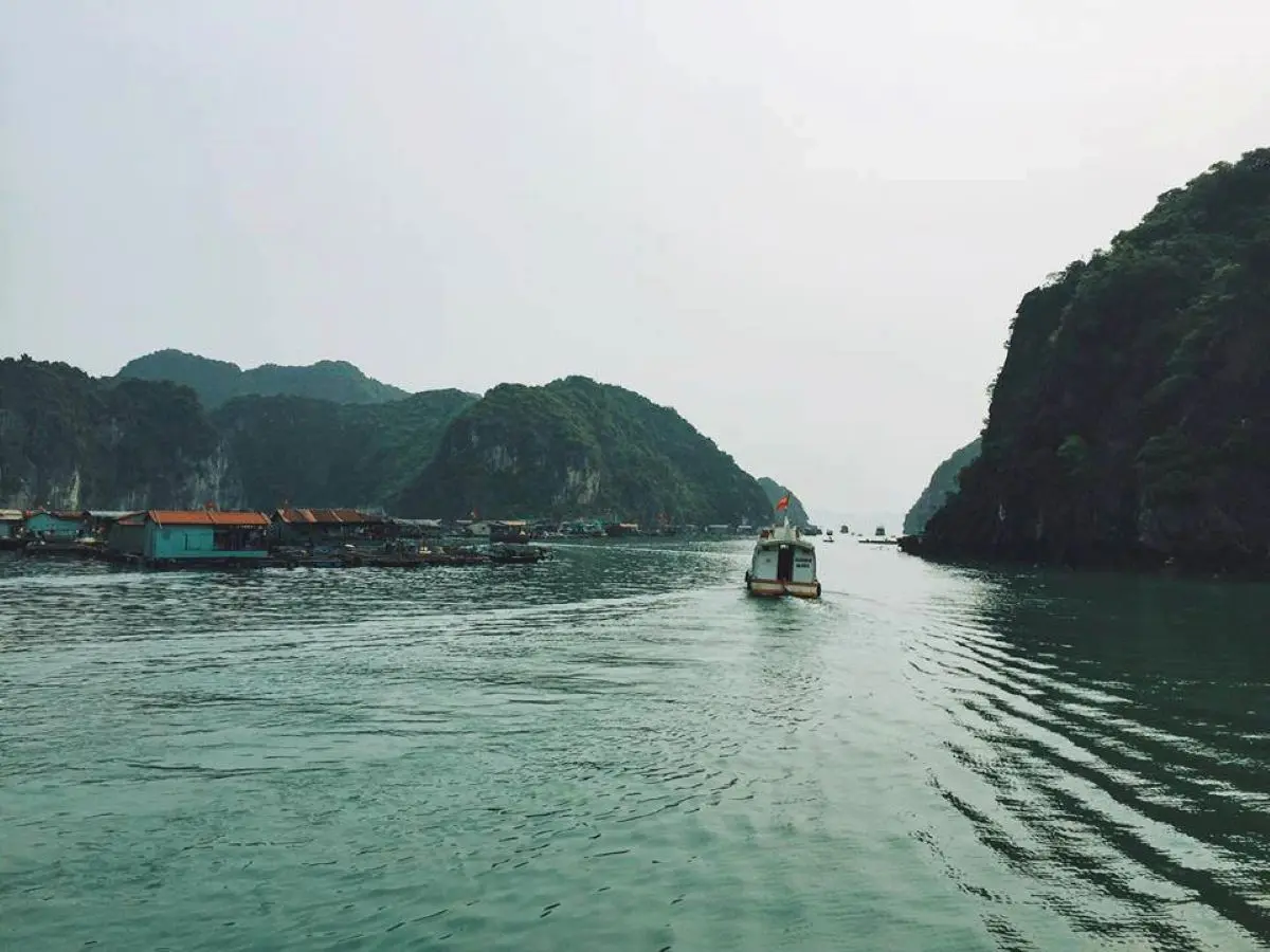 Review đảo Cát Bà tất tần tật từ A - Z siêu chi tiết đây! 2