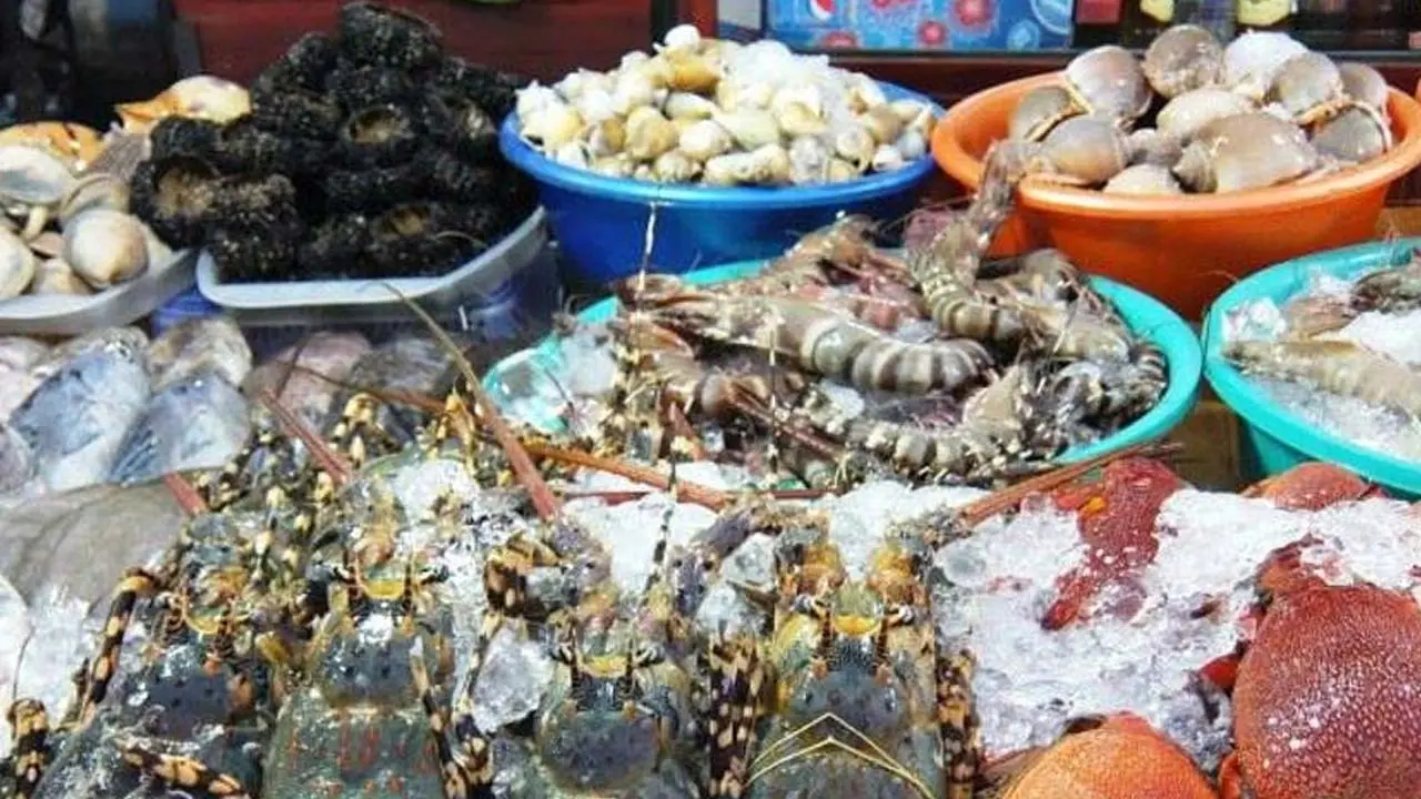 Kinh nghiệm đi C&aacute;t B&agrave; tự t&uacute;c cho đ&ocirc;i bạn th&acirc;n trọn vẹn nhất 9