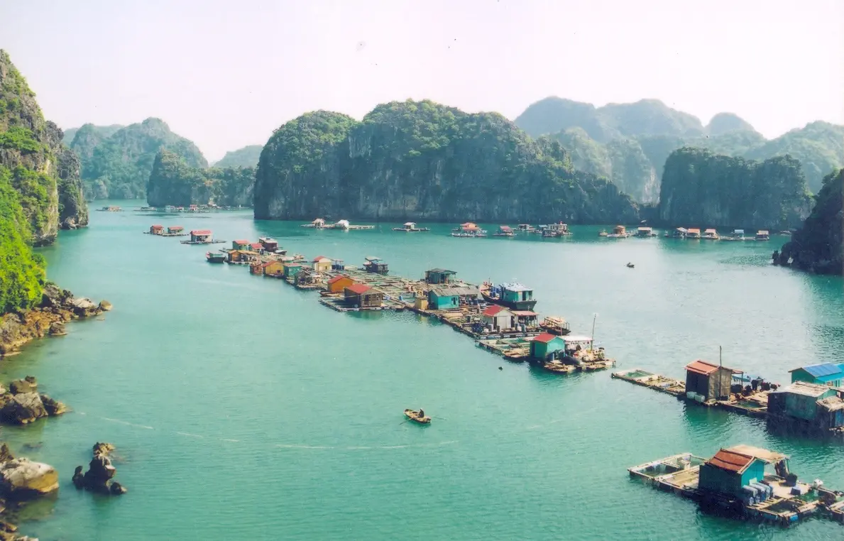 Kinh nghiệm đi C&aacute;t B&agrave; tự t&uacute;c cho đ&ocirc;i bạn th&acirc;n trọn vẹn nhất 6