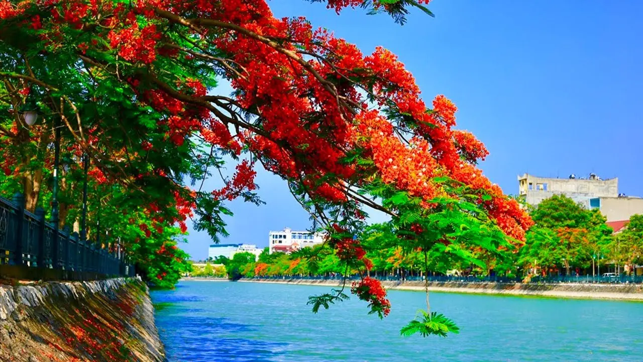 Lưu lại những Kinh nghiệm du lịch Hải Ph&ograve;ng tự t&uacute;c si&ecirc;u tiết kiệm 2
