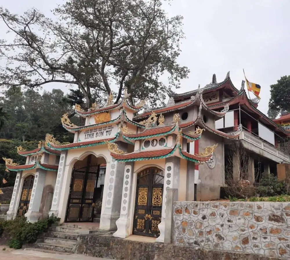 Sở hữu trọn bộ Kinh nghiệm đi N&uacute;i Voi Hải Ph&ograve;ng chi tiết nhất 4