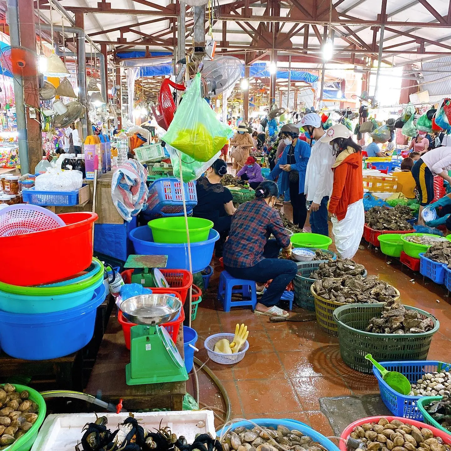 Thuộc l&ograve;ng Kinh nghiệm đi chợ hải sản C&aacute;t B&agrave; si&ecirc;u chi tiết 4