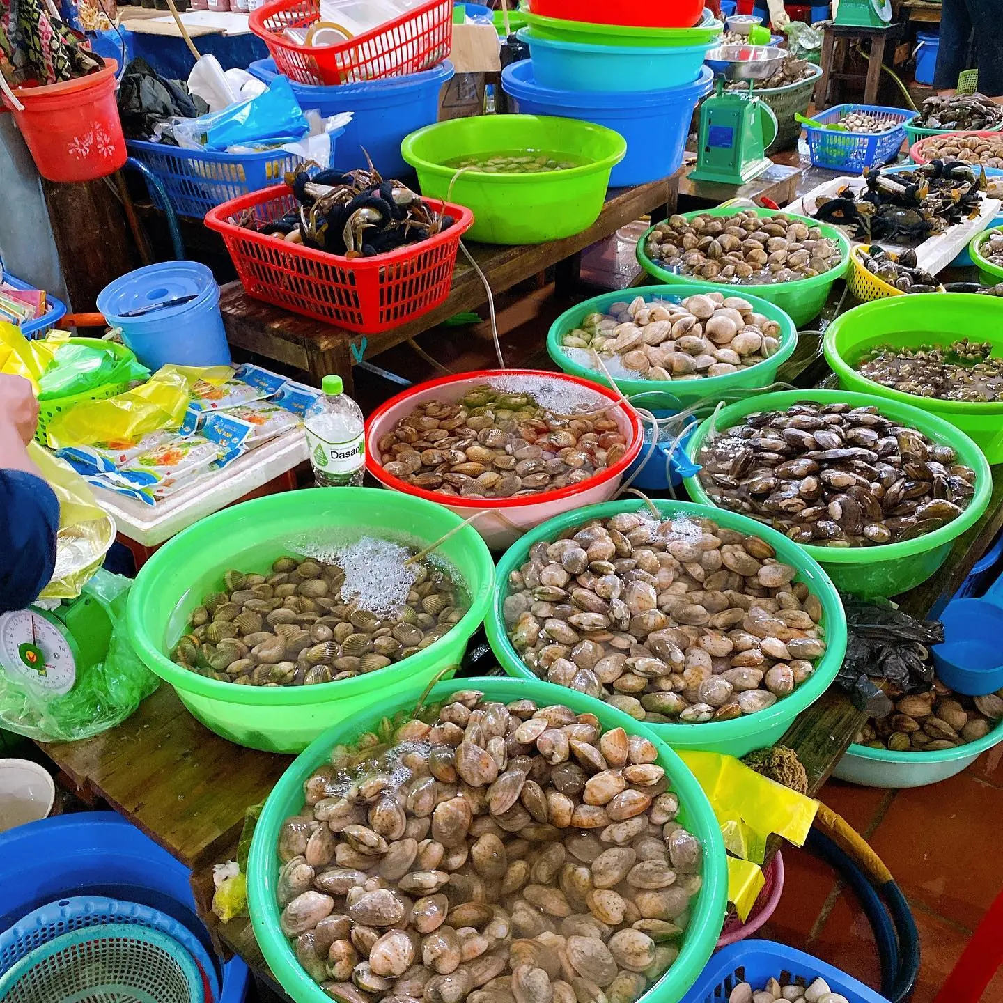 Thuộc l&ograve;ng Kinh nghiệm đi chợ hải sản C&aacute;t B&agrave; si&ecirc;u chi tiết 3