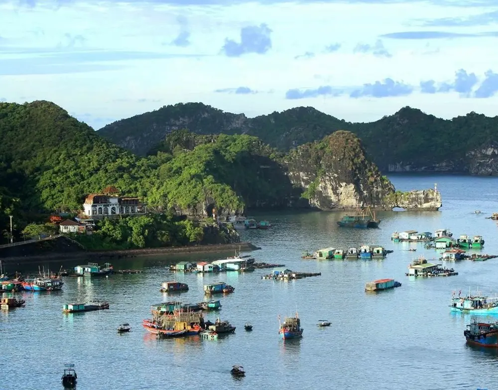 Kinh nghiệm khám phá Hải Phòng từ A-Z phù hợp cho bất kỳ ai