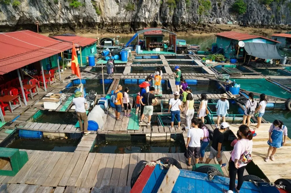 Gợi &yacute; chi tiết Lịch tr&igrave;nh 1 ng&agrave;y ở vịnh Lan Hạ cực kỳ th&uacute; vị 2