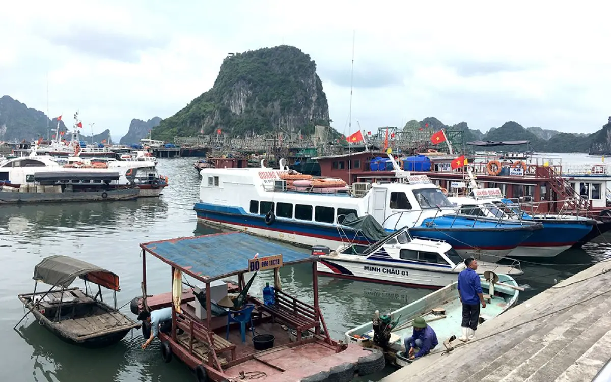 Gợi &yacute; lịch tr&igrave;nh du lịch C&aacute;t B&agrave; 2N1Đ gi&aacute; rẻ d&agrave;nh cho hội bạn th&acirc;n 5