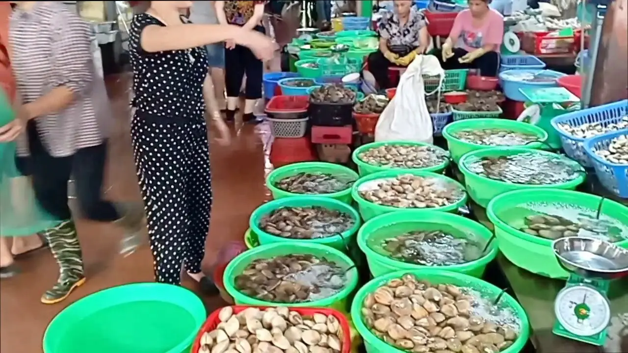 Gợi &yacute; lịch tr&igrave;nh du lịch C&aacute;t B&agrave; 2N1Đ gi&aacute; rẻ d&agrave;nh cho hội bạn th&acirc;n 8